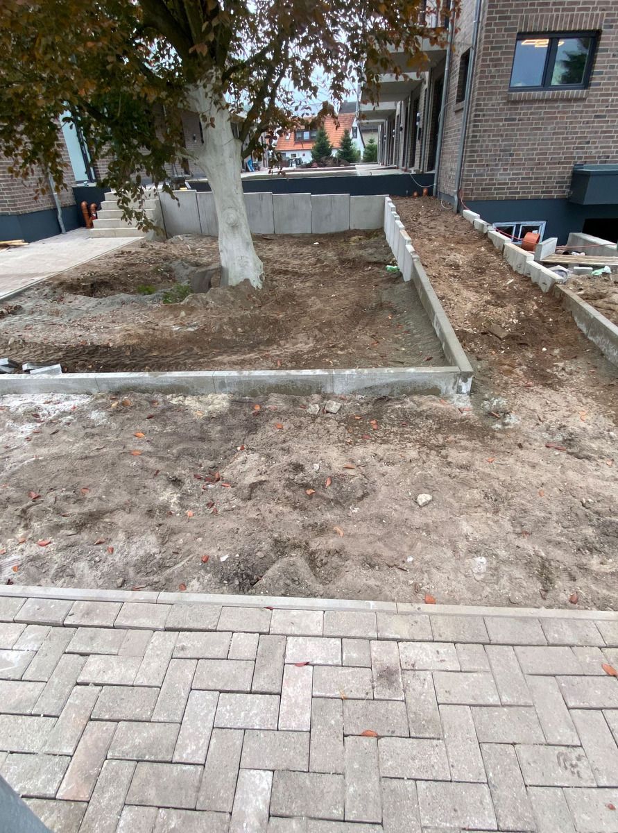 Unbefestigter Boden rund um einen Baum vor dem Hauseingang